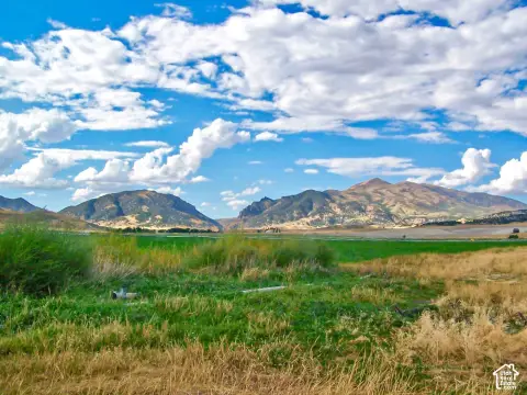 Agricultural Land