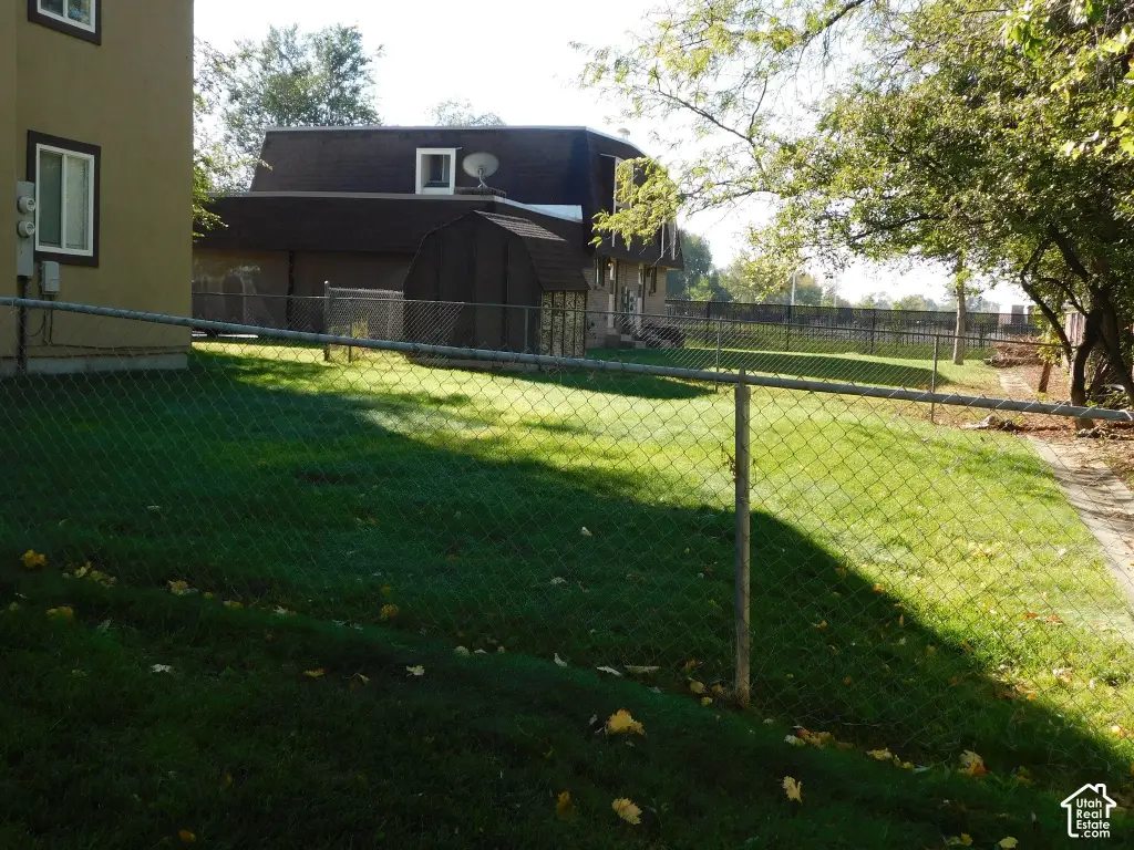 Picture 5