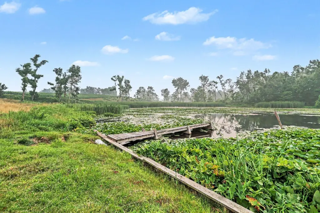 Picture 6