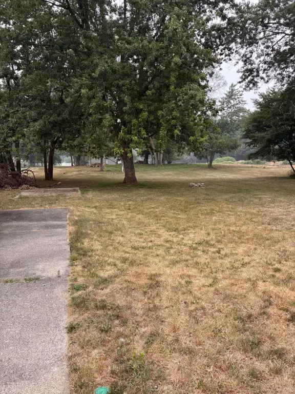 Picture 18