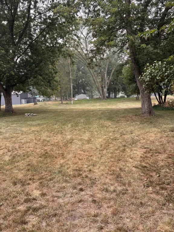 Picture 19