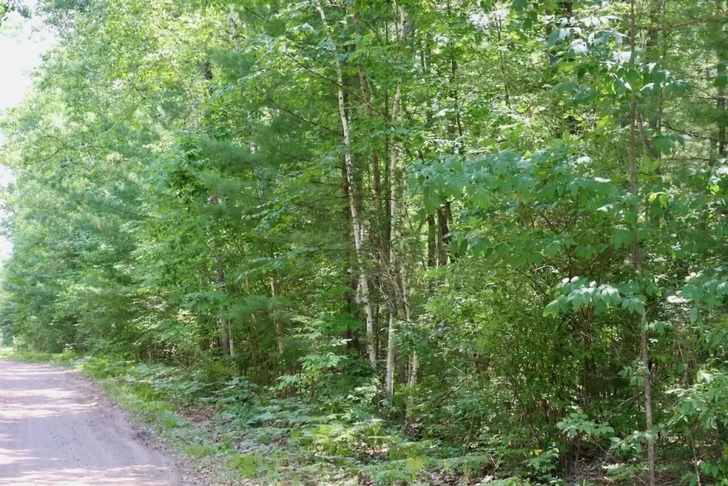 Picture 19