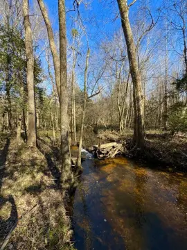 36.49 Acres of Timberland