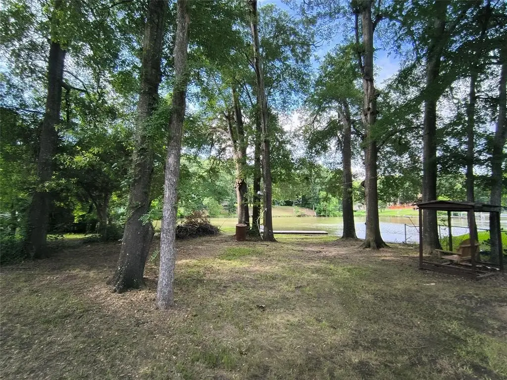 Picture 23