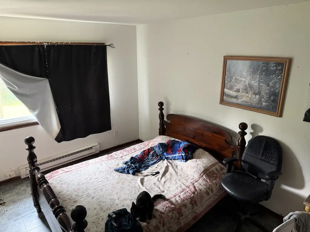Picture 11