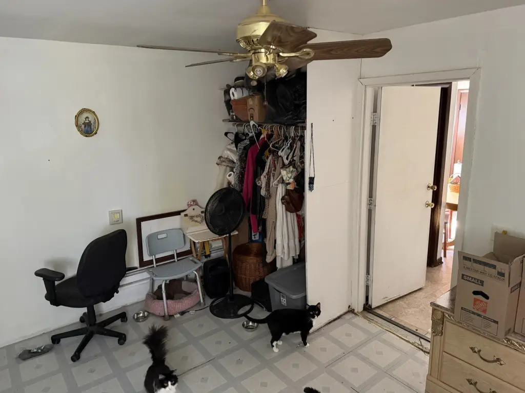 Picture 15
