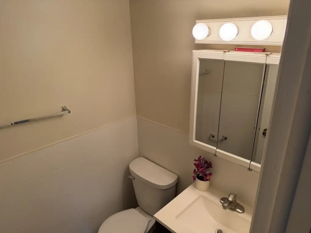 Picture 6