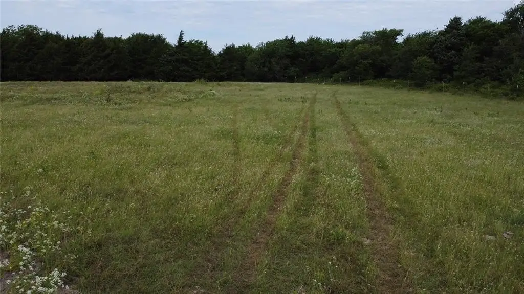 Picture 7