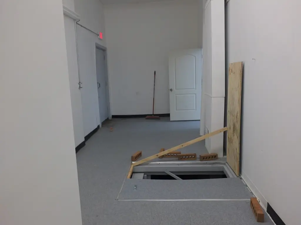 Picture 6