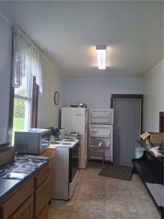 Picture 14