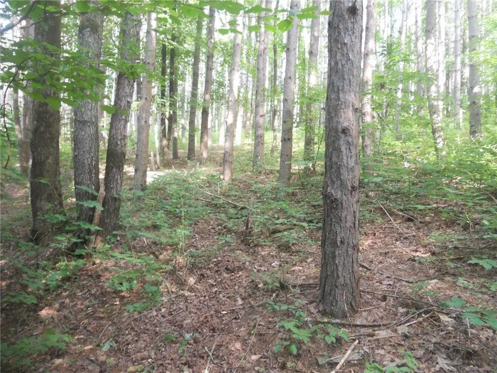Picture 23