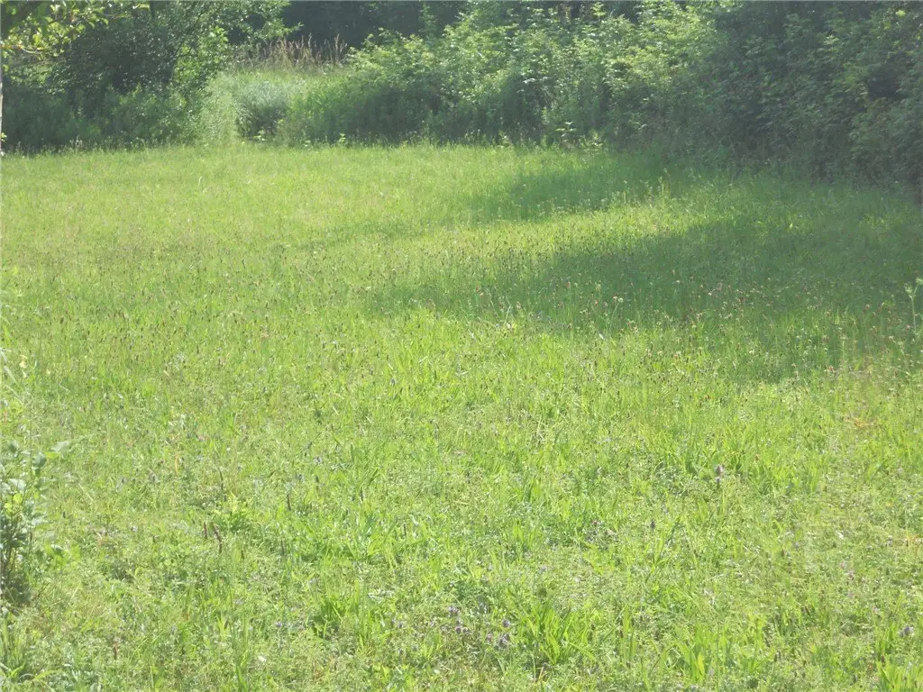 Picture 14