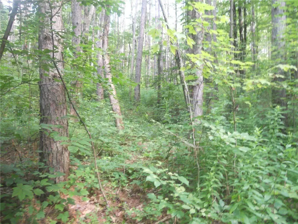 Picture 20
