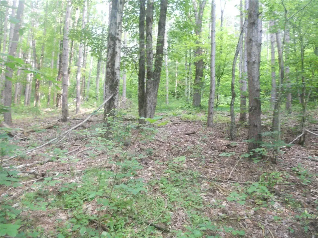 Picture 22