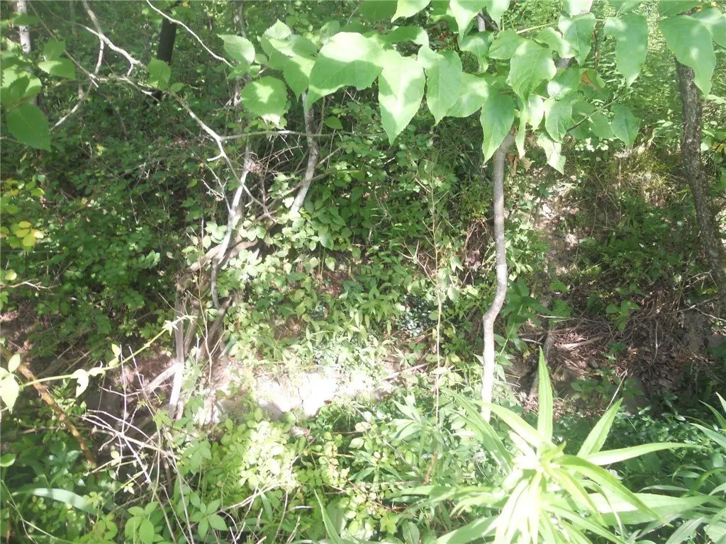 Picture 18