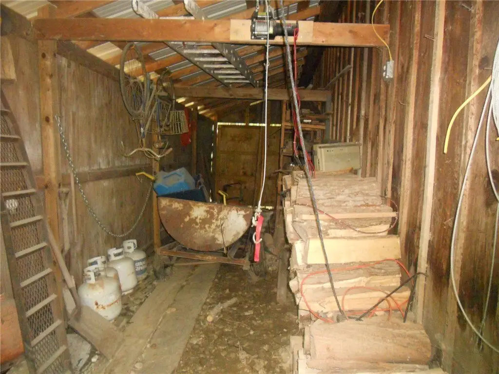 Picture 7