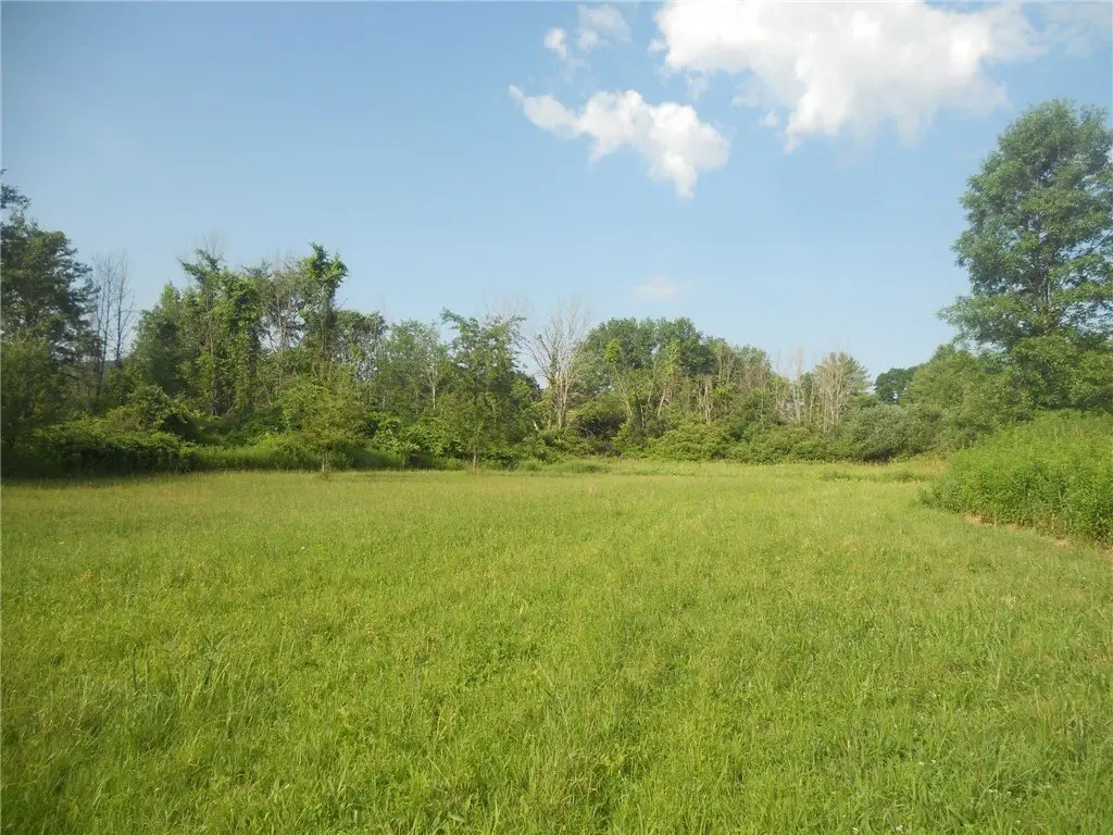 Picture 15