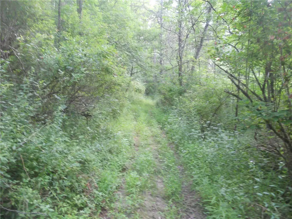 Picture 16