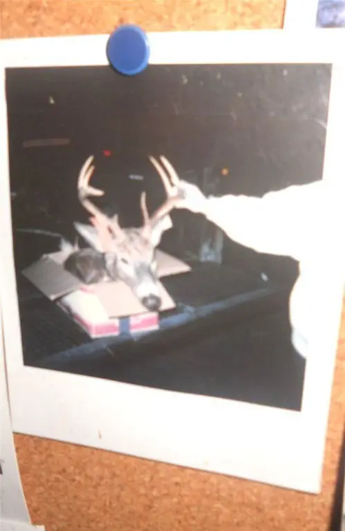 Picture 30