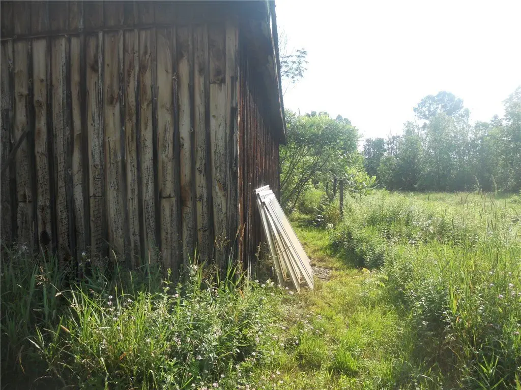 Picture 8