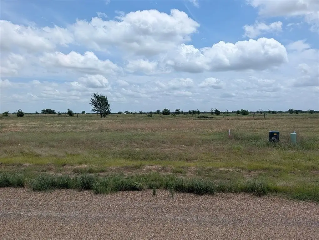 Picture 4