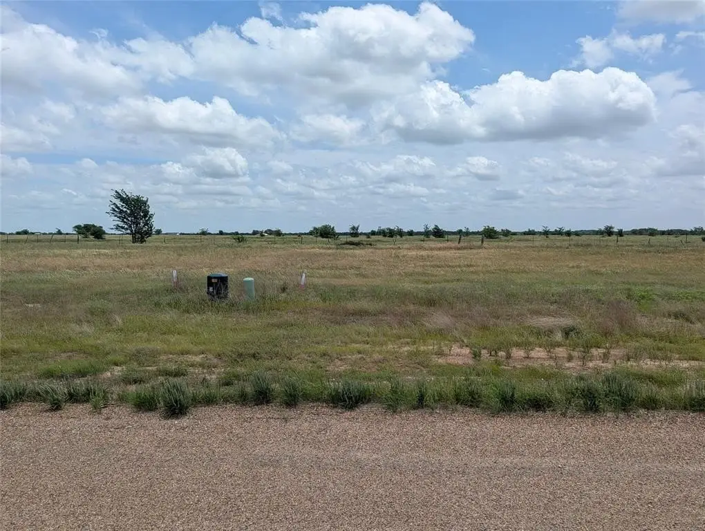 Picture 3