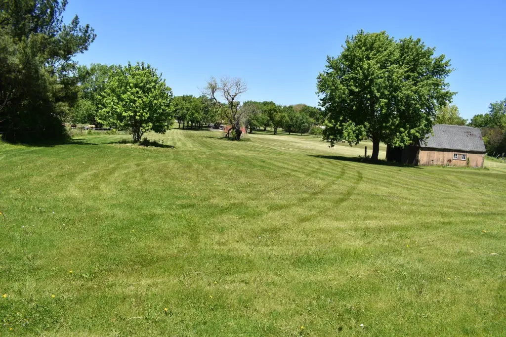 Picture 5