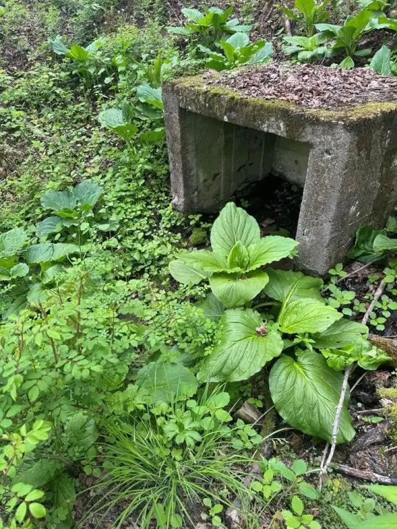 Picture 25