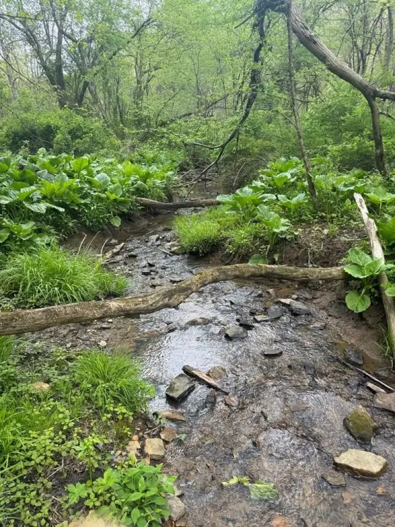 Picture 23