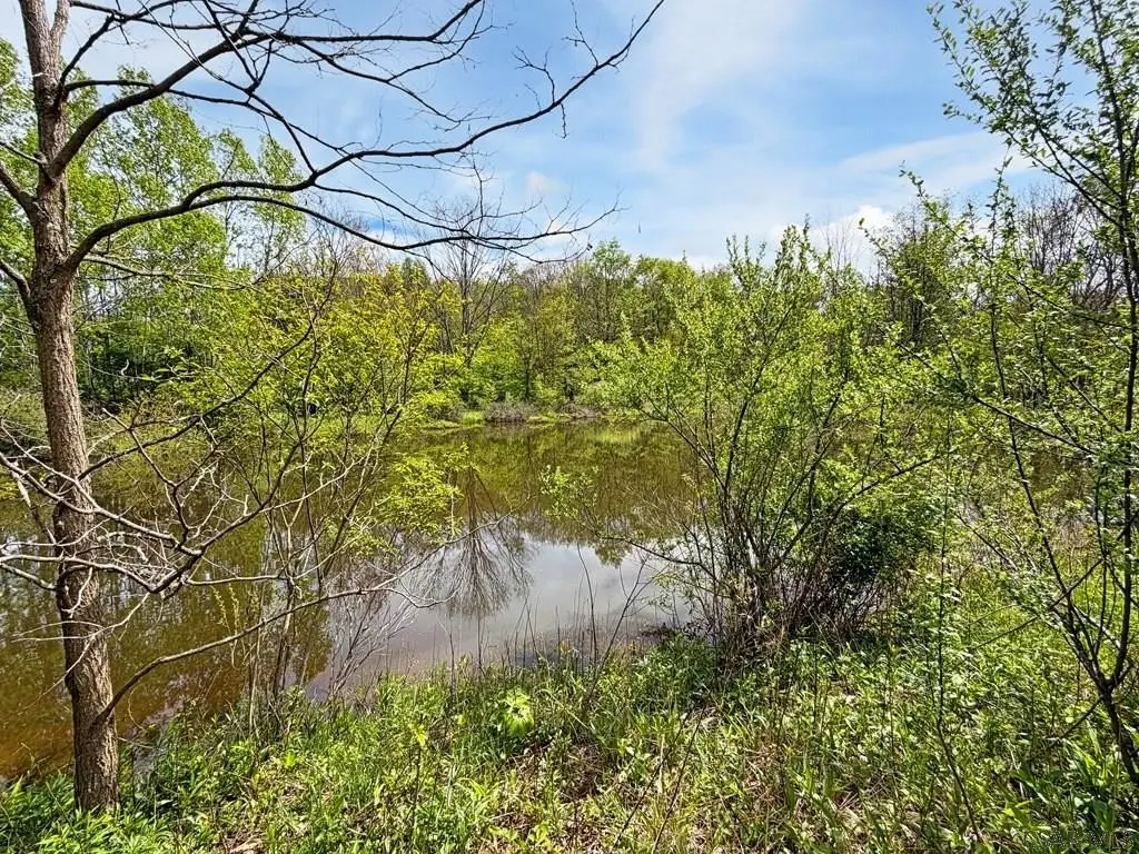 Picture 8