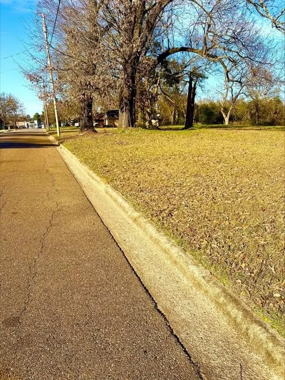 Picture 4