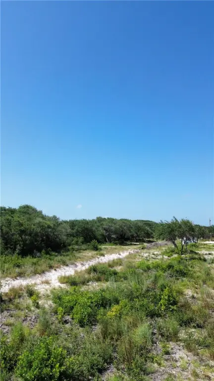 Picture 18