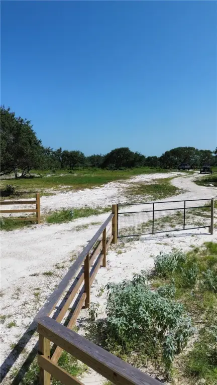 Picture 16