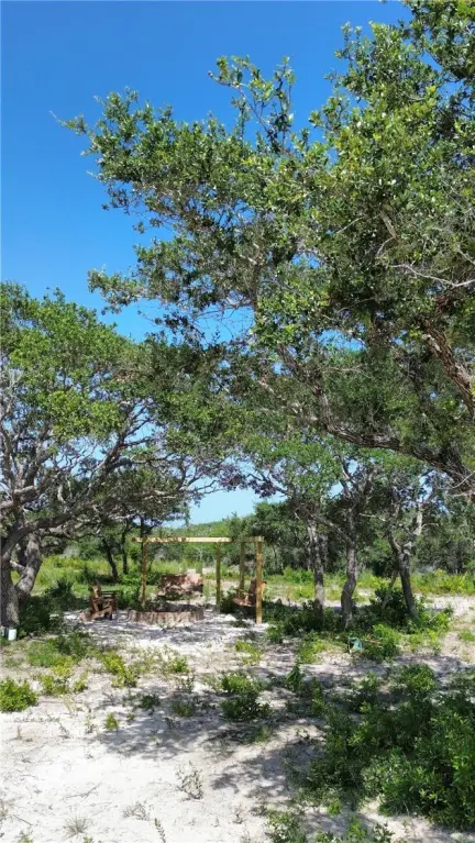 Picture 12