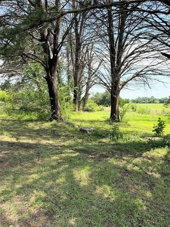 Picture 7