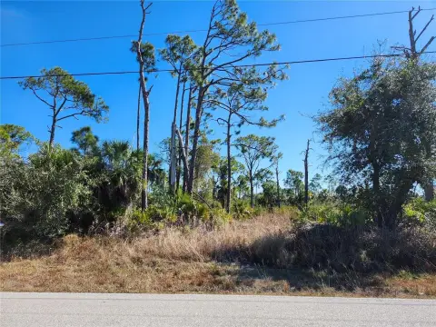 Land Near Myakka River Park