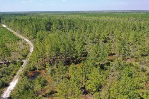 80 Acres Hunting/Camping Land, Waycross