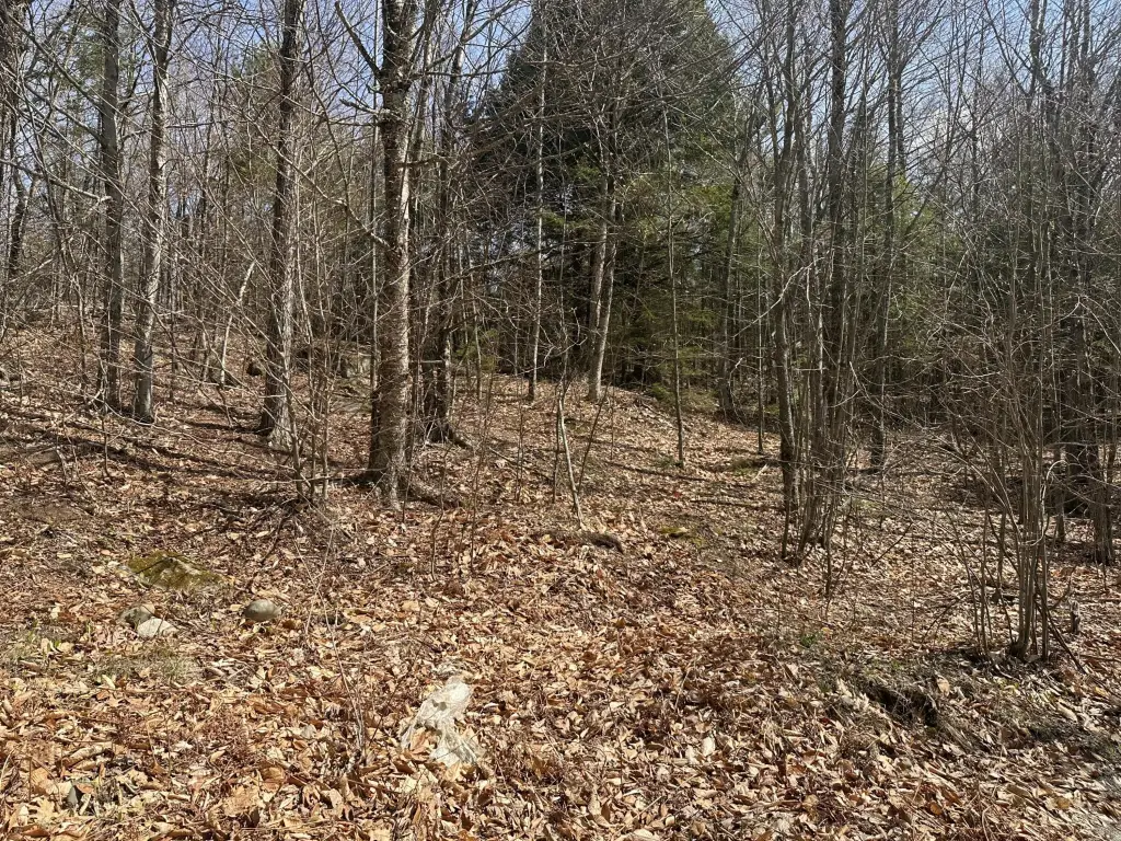 Picture 8