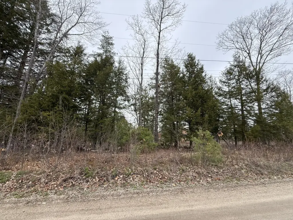 Picture 5