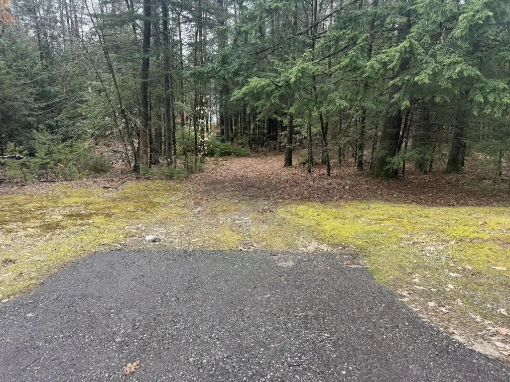 Picture 22