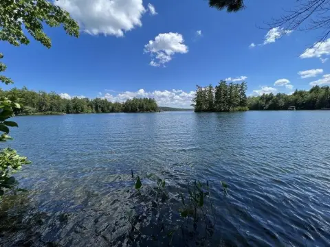 Waterfront Land on Trickey Pond