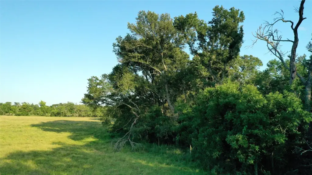 Picture 13