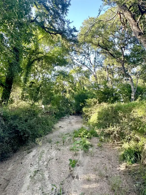 Picture 12