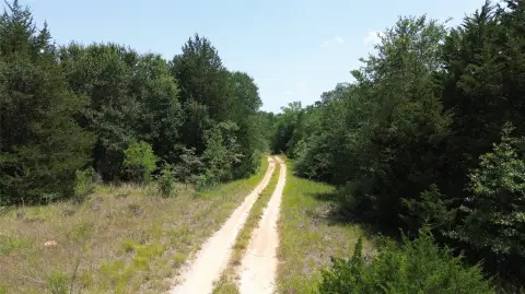 Wooded Hunting Land