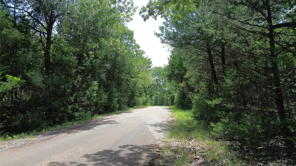 Picture 14
