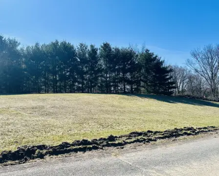 Residential Land in Peach Ridge