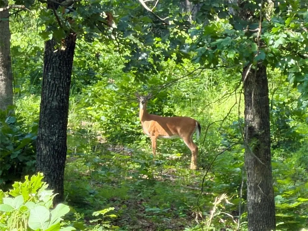 Picture 31