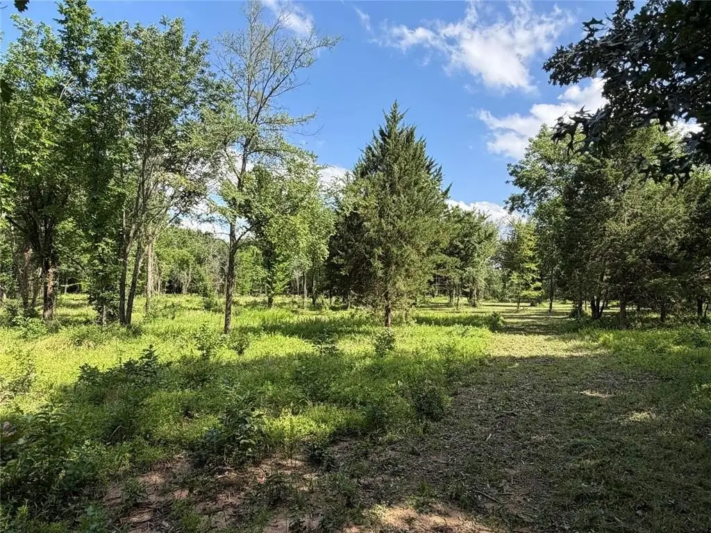 Picture 33