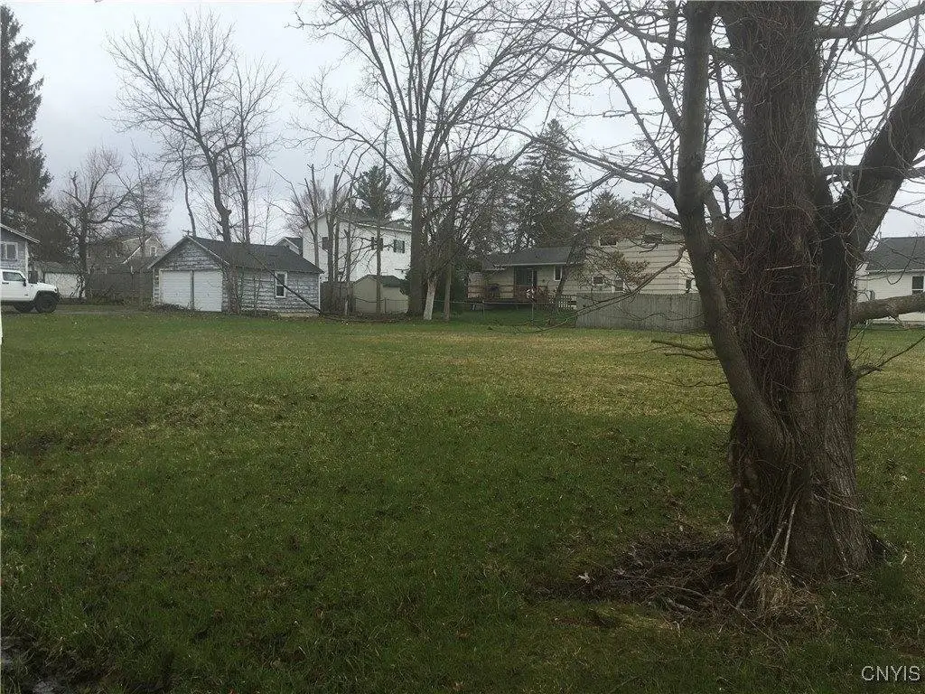 Picture 3