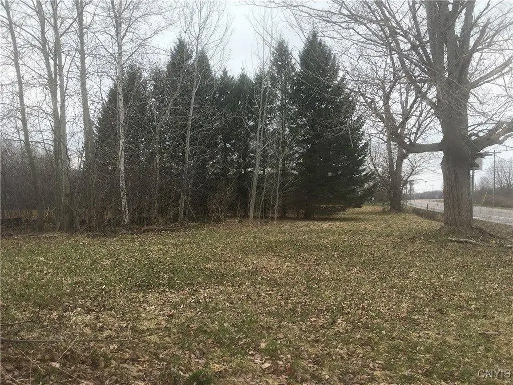 Picture 11